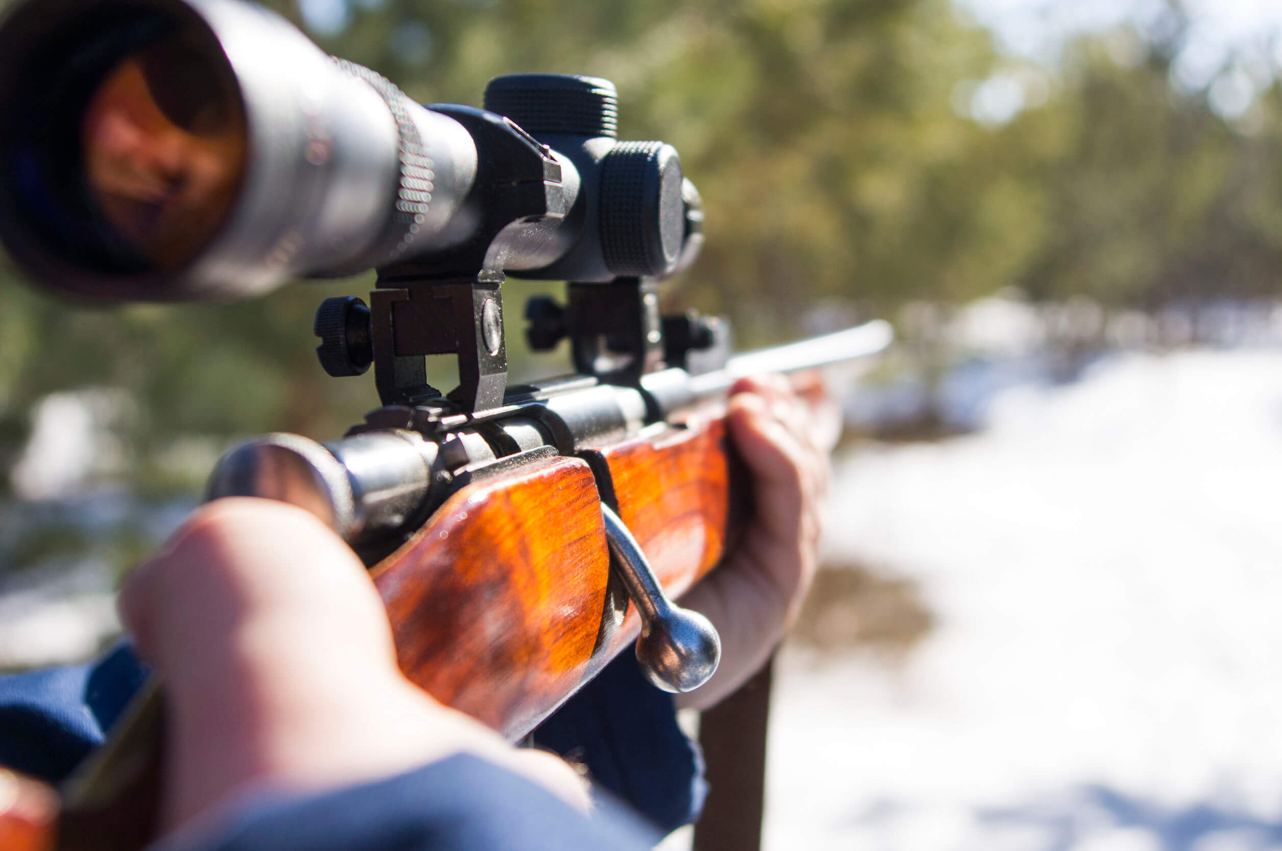 Denver Hunting Violations Attorney